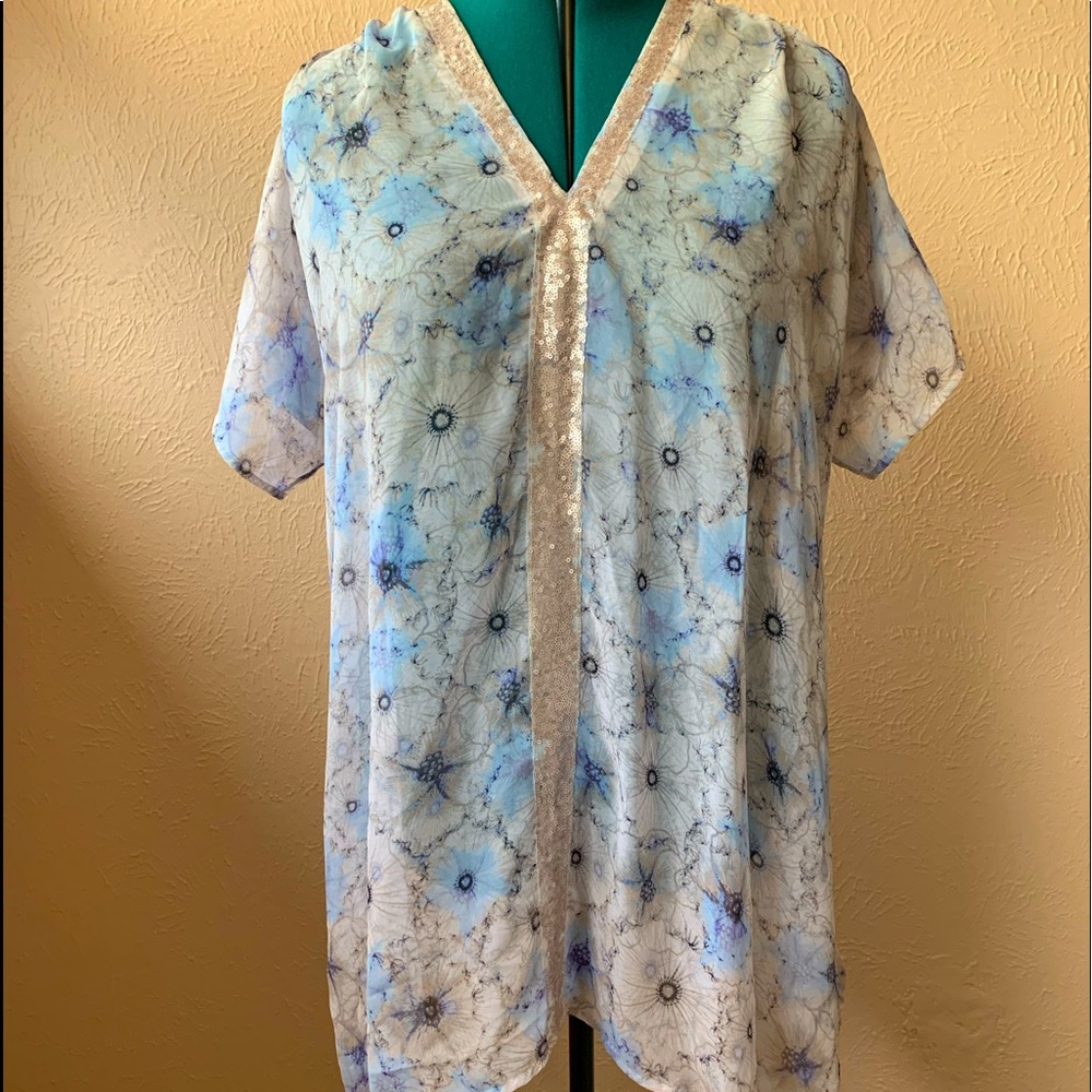 Anthropologie sheer tunic/dress.